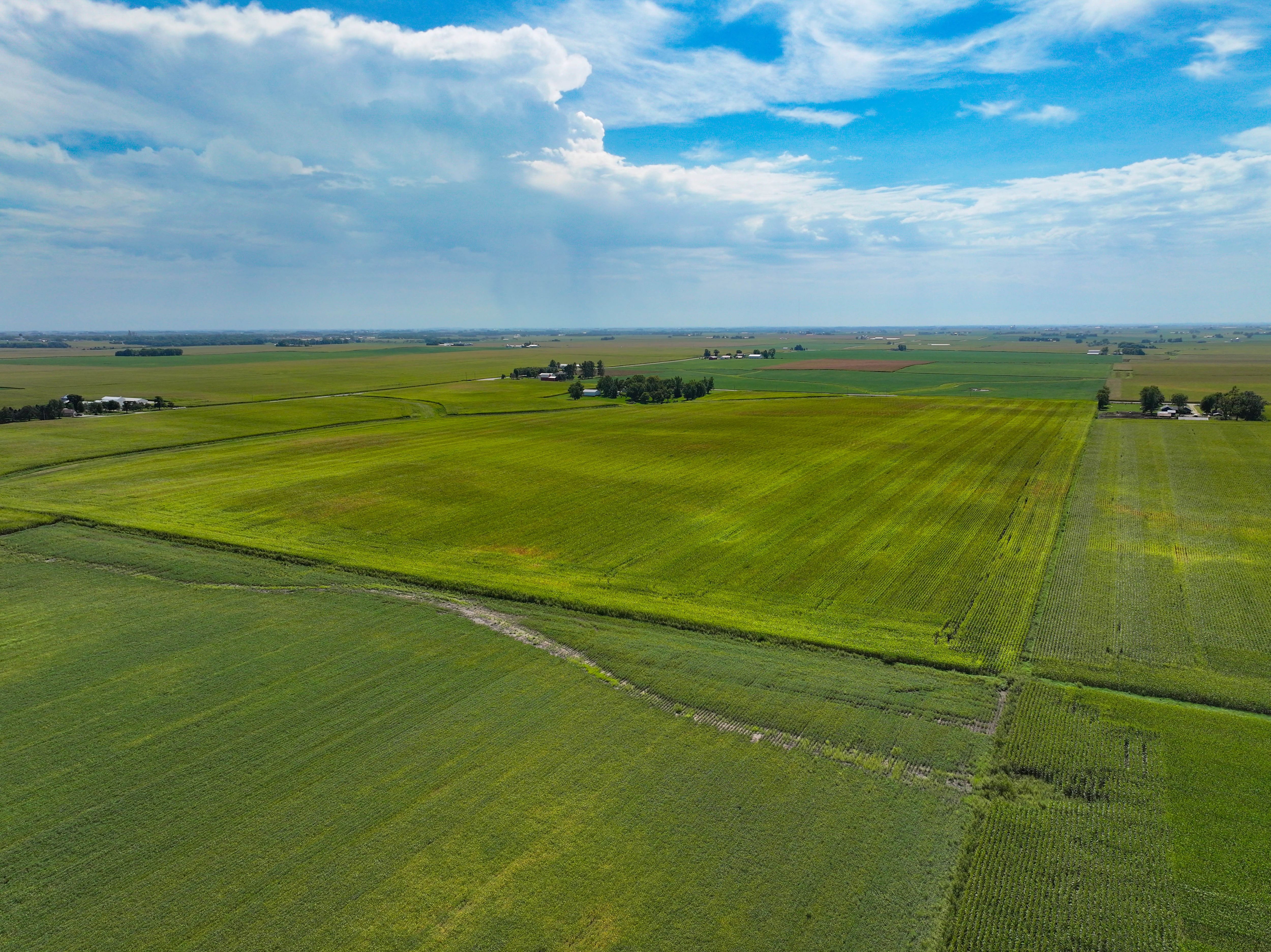 Listing Photo: 6_Black Hawk County Farm Available